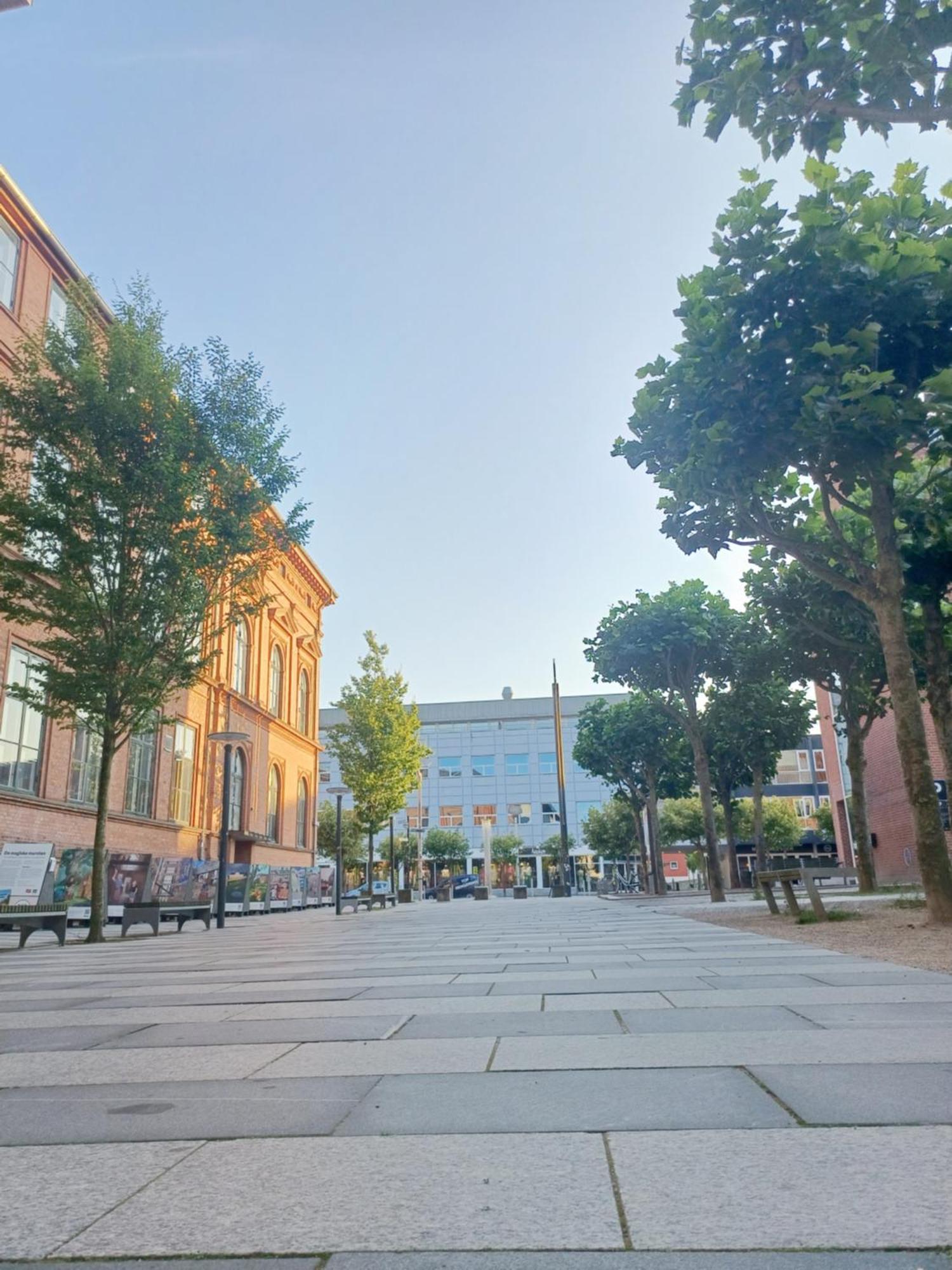 Large Double Room In The Center Of City Randers Kültér fotó